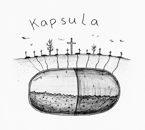 Kapsula